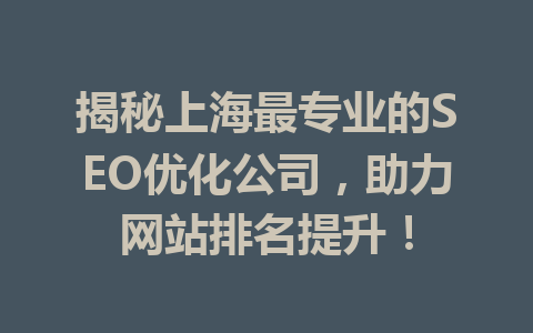 揭秘上海最专业的SEO优化公司,助力网站排名提升!