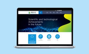 网站设计-品牌设计/橡数集团