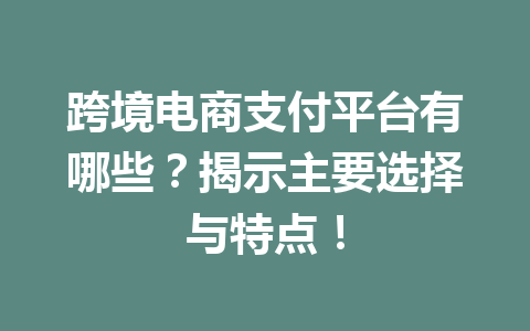 跨境电商支付平台有哪些？揭示主要选择与特点！